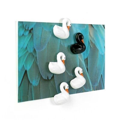 SWAN MAGNETS - SET OF 5