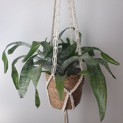 Azalea macramé plant hanger