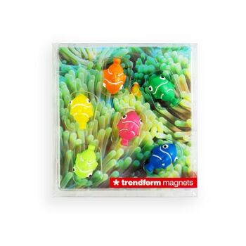 AIMANTS NEMO - set de 6 poissons - mer 3