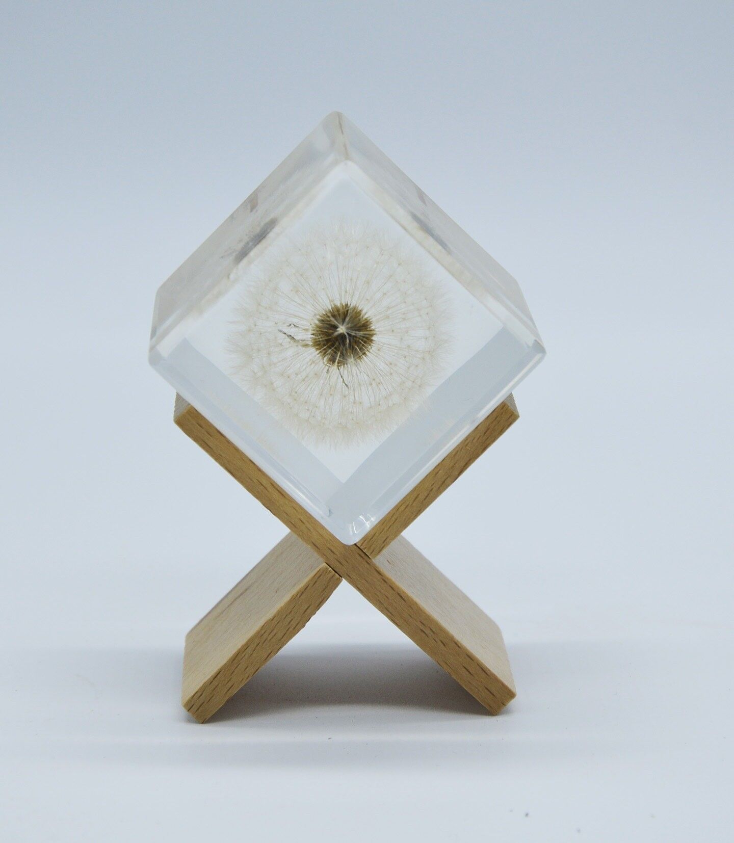 Cube inclusion pissenlit sur support en bois