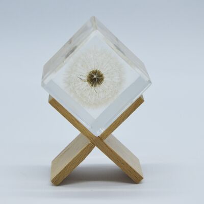 Dandelion inclusion cube on wooden stand