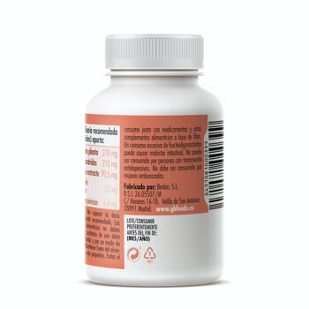 GHF Ginkgo Biloba 100 comprimés 700mg 2