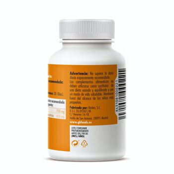 GHF Garcinia Cambogia 90 gélules 500mg 2