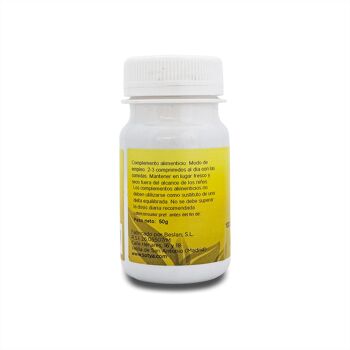 SOTYA Orthosiphon 100 comprimés 500mg 2