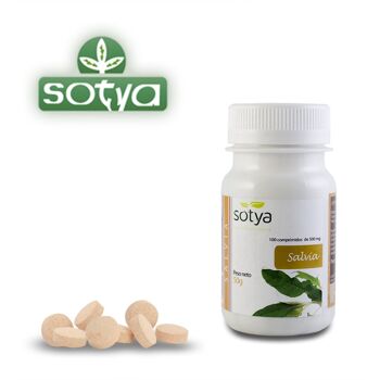 SOTYA Sauge 100 comprimés 500 mg 4