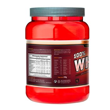 SOTYA Sport whey protéine 100% fraise et crème 1000 gr 2