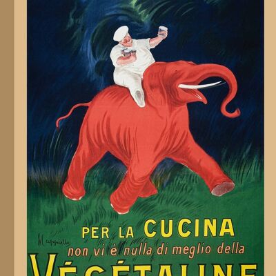 Vintage-Poster, Druck auf Leinwand: Leonetto Cappiello, Végétaline