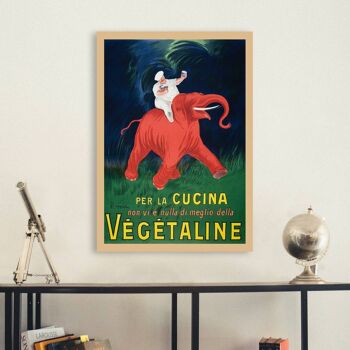 Affiche ancienne, impression sur toile : Leonetto Cappiello, Végétaline 3