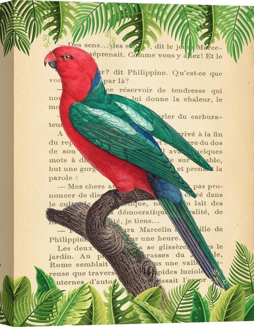 Quadro moderno con pappagalli, stampa su tela: Stef Lamanche, The Australian king parrot