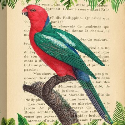 Moderne Malerei mit Papageien, Druck auf Leinwand: Stef Lamanche, Der australische Königspapagei