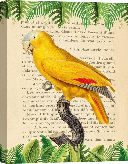 Quadro moderno con pappagalli, stampa su tela: Stef Lamanche, The Blue-Fronted Parrot