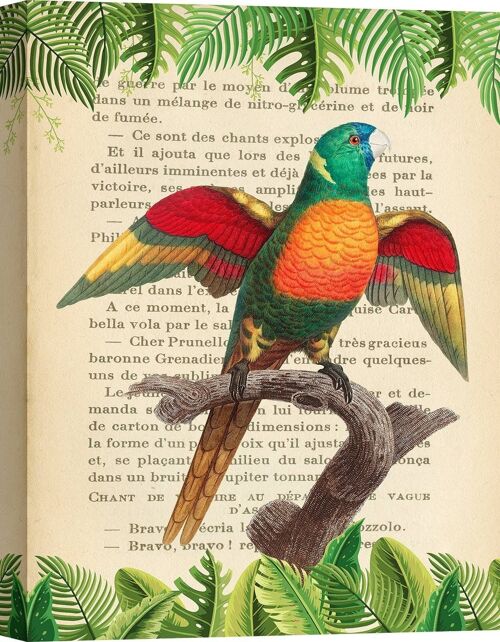 Quadro moderno con pappagalli, stampa su tela: Stef Lamanche, The Blue-Headed Parrot