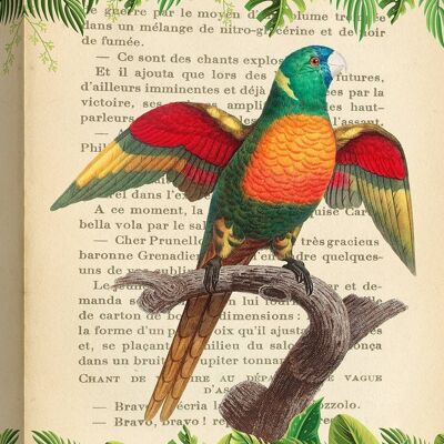 Modern parrot painting, canvas print: Stef Lamanche, The Blue-Headed Parrot