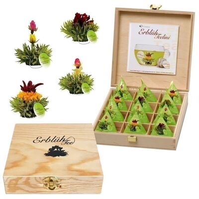 Creano Teelini tea flowers in cup format, gift set in a tea box, 12 AbloomTeelini in 4 varieties, green tea