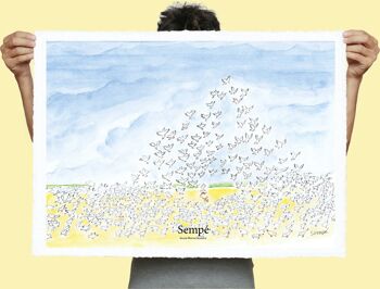 AFFICHE 56x76cm SEMPE MOUETTES