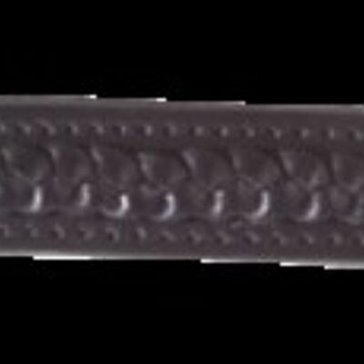 Browband with braiding