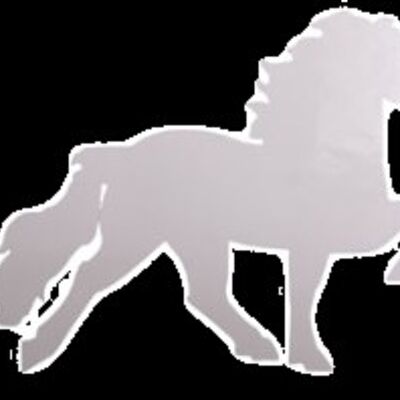 Sticker cheval islandais