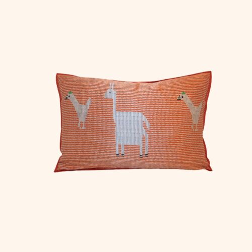 Didi Cushion - Orange & White