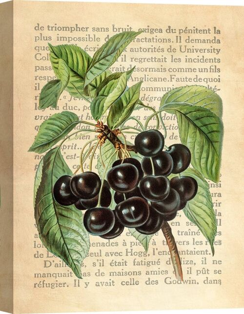 Quadro botaniche moderne, stampa su tela: Remy Dellal, Ciliegie