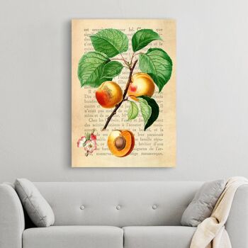 Peinture botanique moderne, impression sur toile : Remy Dellal, Abricot 2