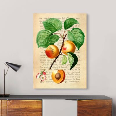 Modern botanical painting, print on canvas: Remy Dellal, Apricot
