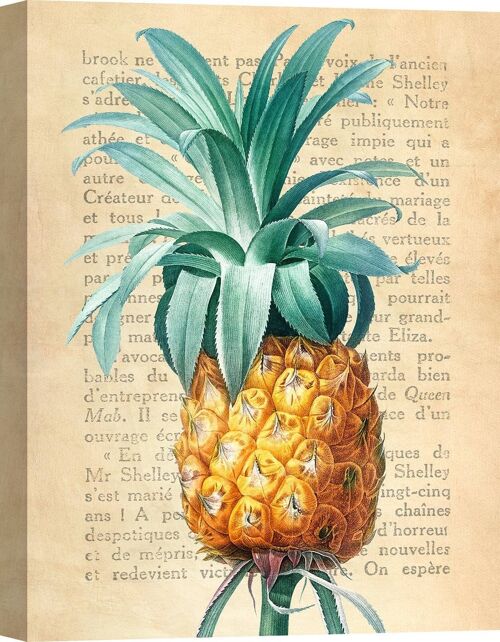 Quadro botaniche moderne, su tela: Remy Dellal, Ananas