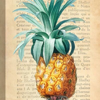 Pintura botánica moderna, sobre lienzo: Remy Dellal, Ananas