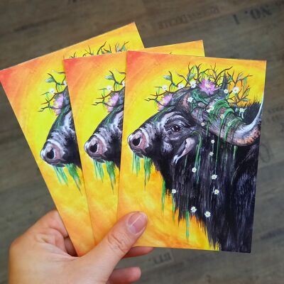 Postkarte Wasserbüffel mit Blumenkranz 10 Stk. Din A6
