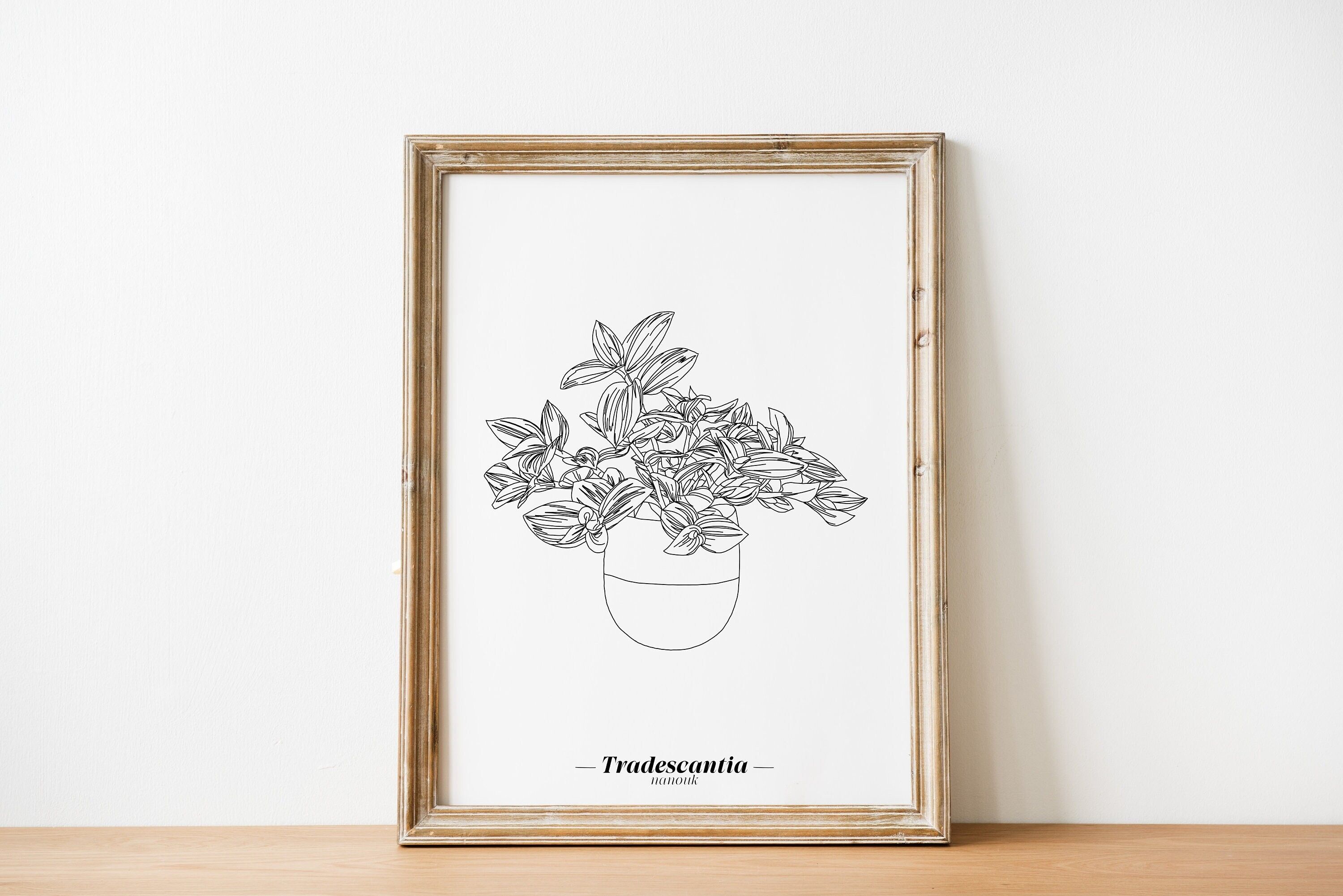 Poster Tradescantia Nanouk - Carta A5 / A4 / A3