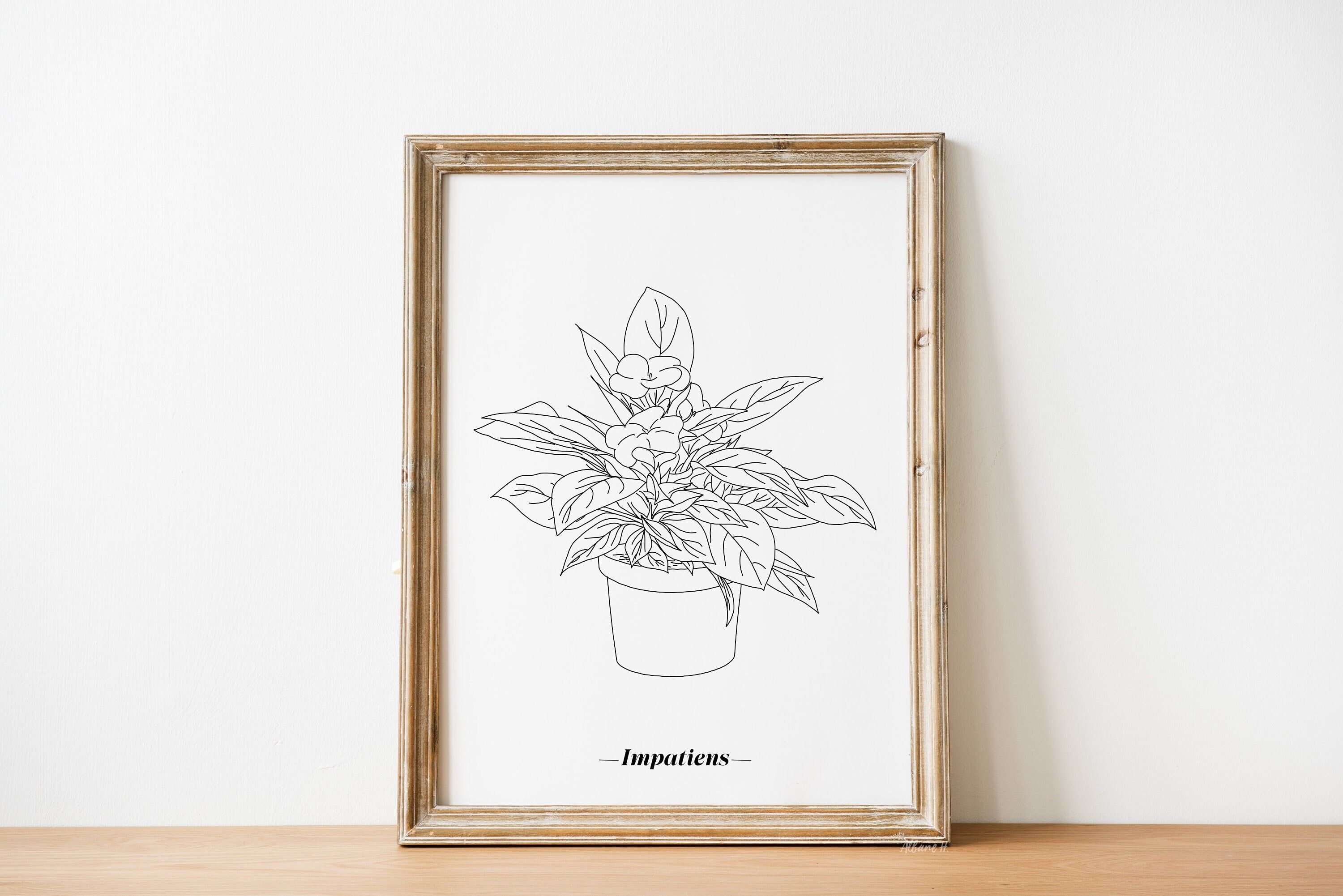 Affiche Impatiens - Papier A5 / A4 / A3