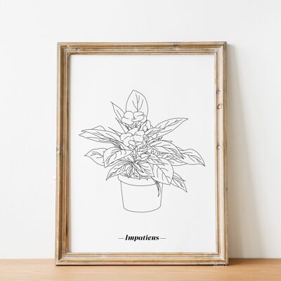 Poster Impatiens - Carta A5 / A4 / A3