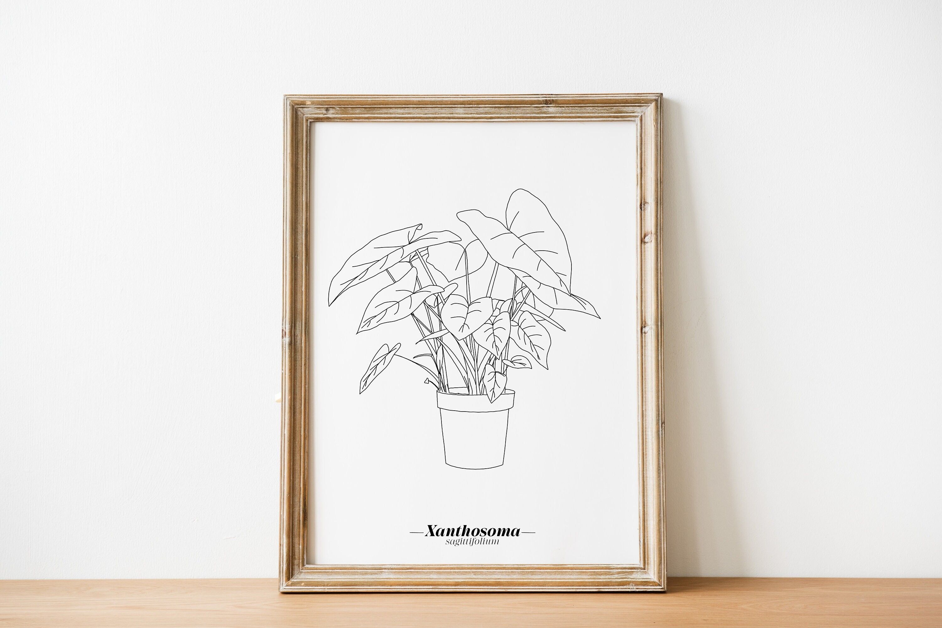 Poster di xanthosoma - carta A5 / A4 / A3