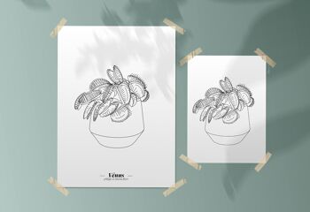 Affiche Vénus (plante carnivore) - Papier A5 / A4 / A3 2