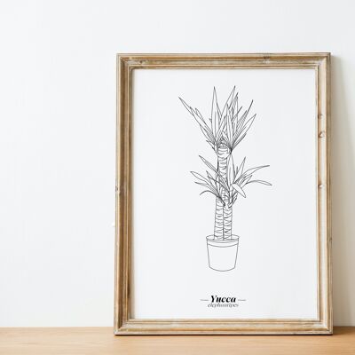 Affiche Yucca - Papier A5 / A4 / A3