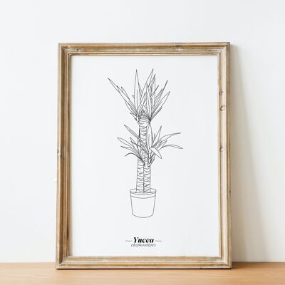 Póster Yuca - Papel A5 / A4 / A3