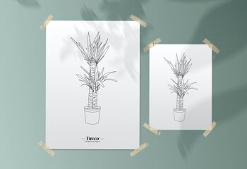 Affiche Yucca - Papier A5 / A4 / A3 2