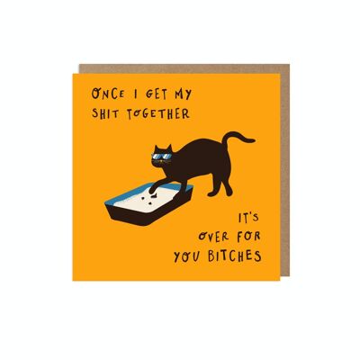 Shit Together Cat Card