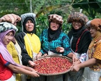 Café des femmes Ketiara, Sumatra 2