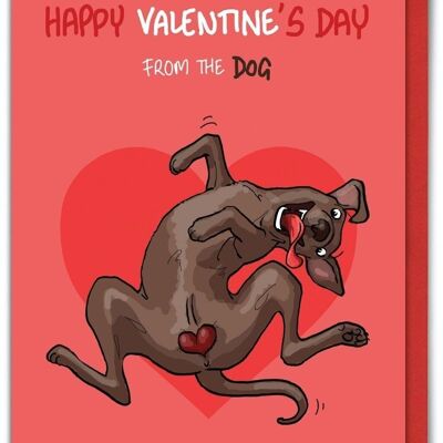 Tarjeta de San Valentín divertida de Bryony Walters - De perro