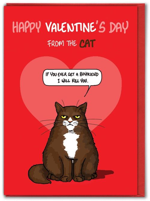 Funny Bryony Walters Valentines Card - From Cat