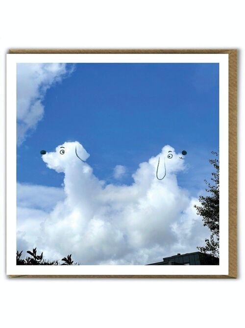 A Daily Cloud Funny Photographic dogs Birthday Card