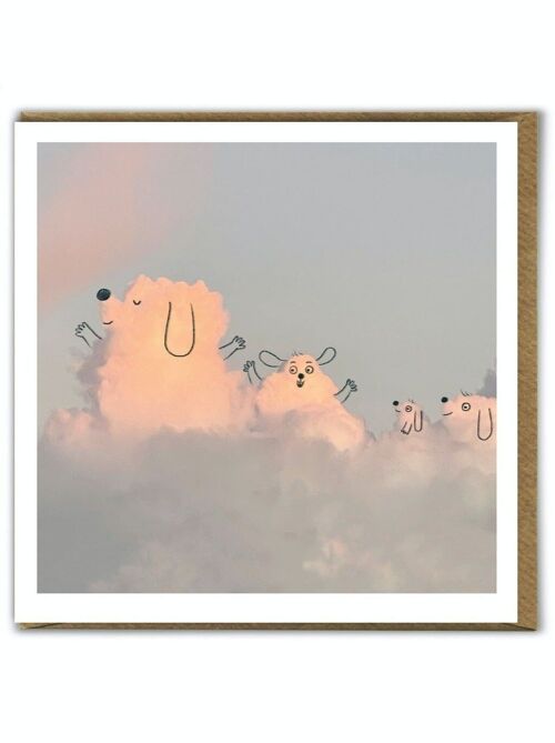 A Daily Cloud Funny Photographic Dogs Birthday Card