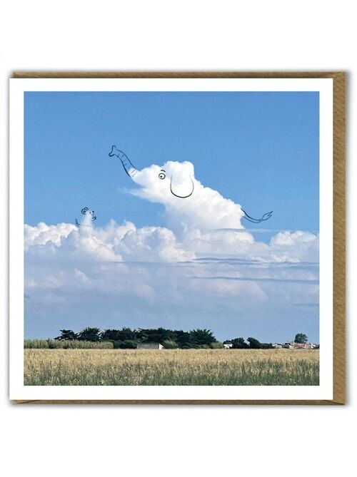 A Daily Cloud Funny Photographic Elephant and Mouse Birthday Card