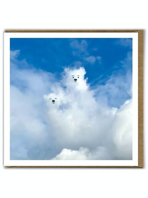 A Daily Cloud Funny Photographic Bears Birthday Card