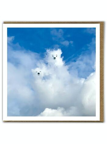 Une carte d'anniversaire d'ours photographique drôle de nuage quotidien 1