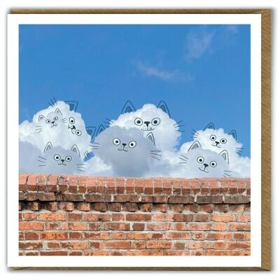 Biglietto d'auguri per gatti fotografici divertenti con nuvola quotidiana