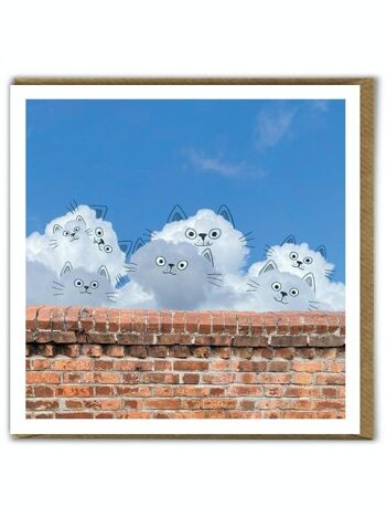 Une carte d'anniversaire quotidienne de chats photographiques drôles de nuage 1