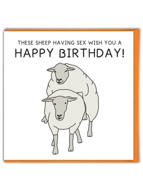 Funny Rude Sheep Sex Birthday Card by Brainbox Candy