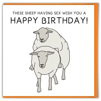Funny Rude Sheep Sex Birthday Card by Brainbox Candy