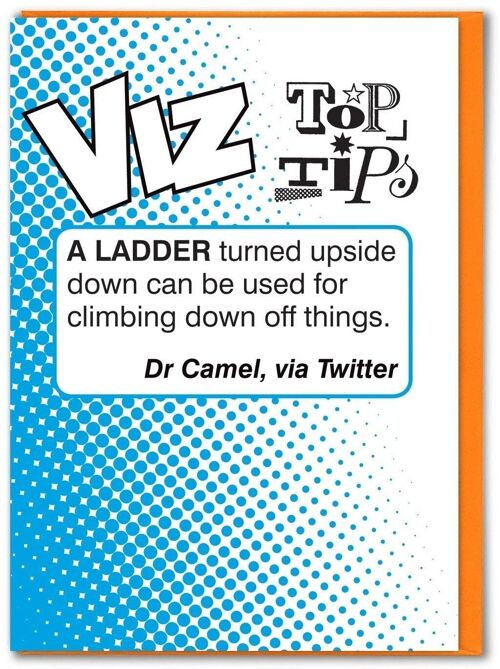 Ladder Viz Top Tips Funny Birthday Card